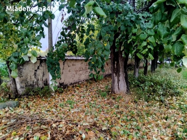 Имот с голям двор, снимка 13 - Къщи - 52255307