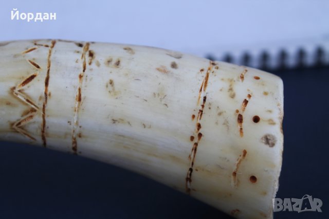 Ловна свирка от рог , снимка 2 - Антикварни и старинни предмети - 37512898