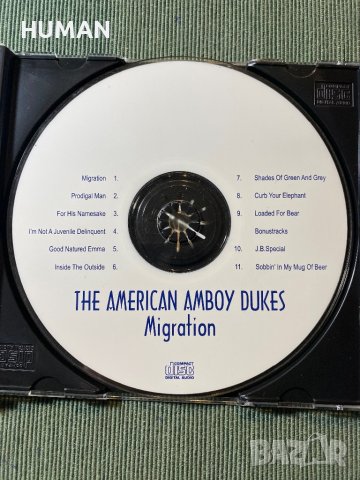 American Amboy Dukes,Savoy Brown, снимка 3 - CD дискове - 43525639