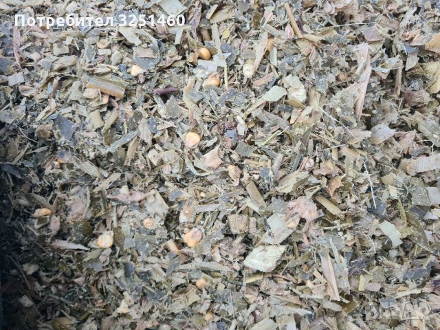 Царевичен силаж, снимка 2 - Крави - 35043966