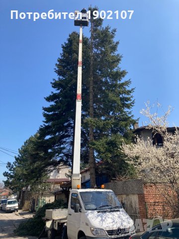 Автовишка под наем.Рязане и кастрене на опасни дървета!, снимка 3 - Други услуги - 32910632
