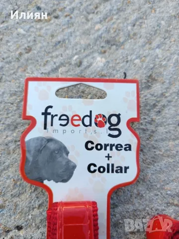 Повод с нашийник , снимка 2 - За кучета - 48047155