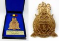 Министерство на отбраната-Румъния-Почетен медал-Пехотен батальон, снимка 1 - Нумизматика и бонистика - 27365522