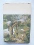 Книга Етнография на България. Том 3: Духовна култура 1985 г., снимка 8