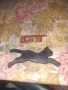 Емблеми GT и Jetta CAT за стар модел Фолксвагени , снимка 1