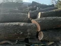 дърва за огрев метровки дъб , снимка 1