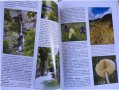КНИГА-КАТАЛОГ ЛУКС СНИМКИ ФЛОРА ФАУНА БЪЛГАРИЯ НАЦИОНАЛНИ ПАРКОВЕ, снимка 5