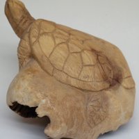 Дървена гъба водна костенурка ръчна изработка уникален подарък, снимка 10 - Статуетки - 36804590