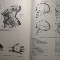 Съвременни методи в медицината. Книга 3 Мария Мандаджиева 1998 г., снимка 4 - Специализирана литература - 33630443