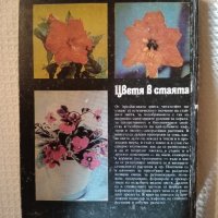 книга Цветя в стаята , снимка 2 - Други - 43162777