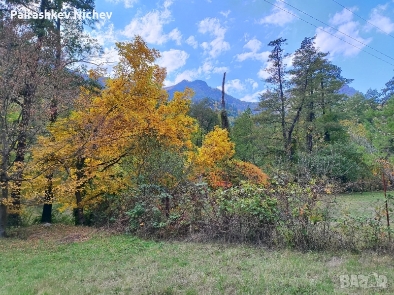 Панорамен Парцел , снимка 1