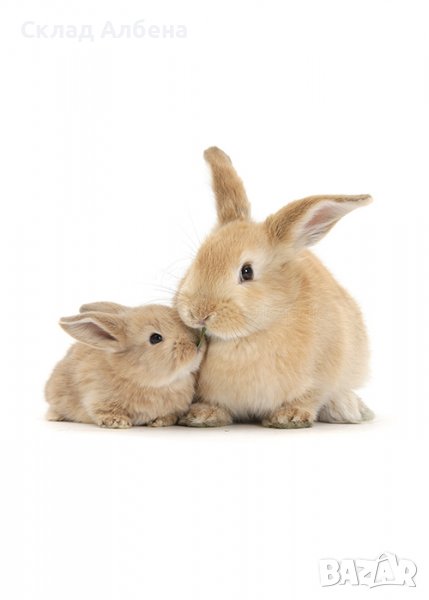 Пълноценна смеска за разплодни зайци БОНМИКС, 10кг, снимка 1