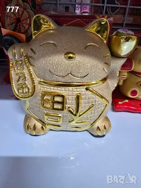 касички котка, снимка 1