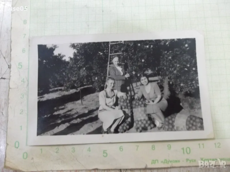 Снимка стара на три българки в овощната градина в Америка, снимка 1