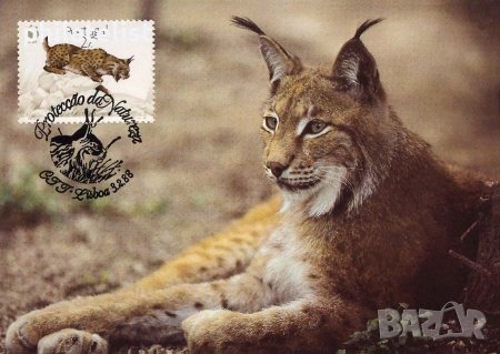 Португалия 1988 - 4 броя Карти Максимум - WWF, снимка 1