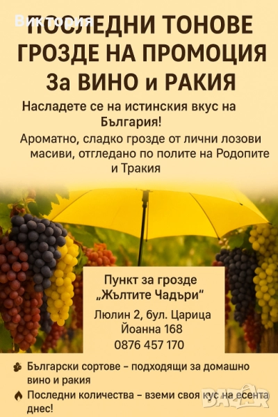 Промоцияя, снимка 1