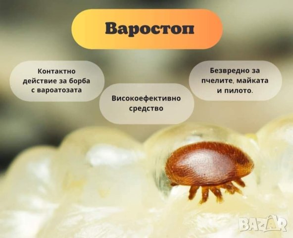 Варостоп, снимка 1 - За пчели - 27961894