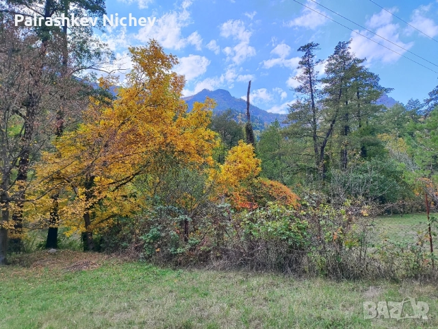 Панорамен Парцел 