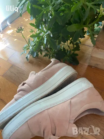 Cobler оригинали велурени обувки , снимка 7 - Дамски ежедневни обувки - 49685335