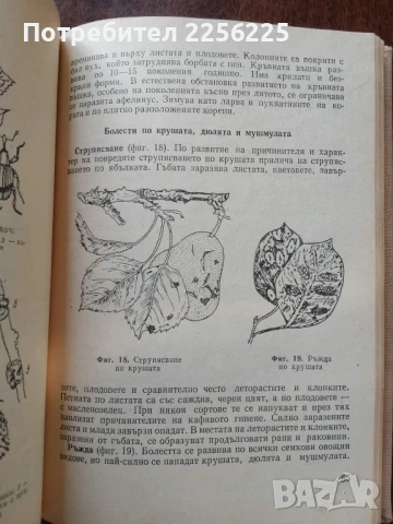 Календар на овощаря, снимка 2 - Специализирана литература - 50611522