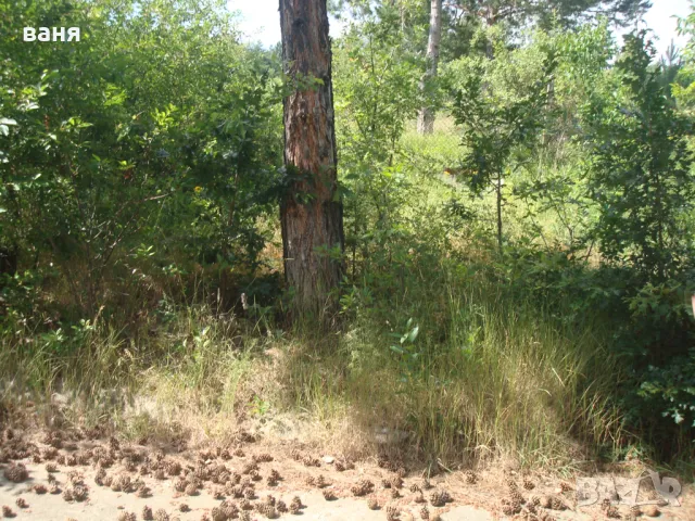 продавам къща в вилна зона Терасите на с. Герман, снимка 9 - Къщи - 48717393