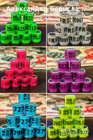 Пръстени за спортни пощенци 2026г.