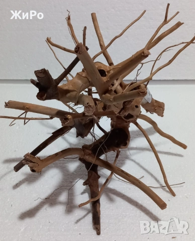 Корен от Азалия /декорация/ 7, снимка 3 - Други - 53396765