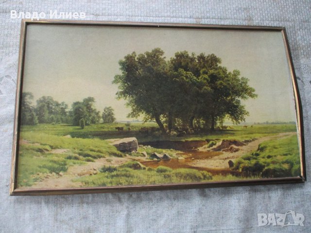 Картини разнообразни, снимка 2 - Картини - 32665722