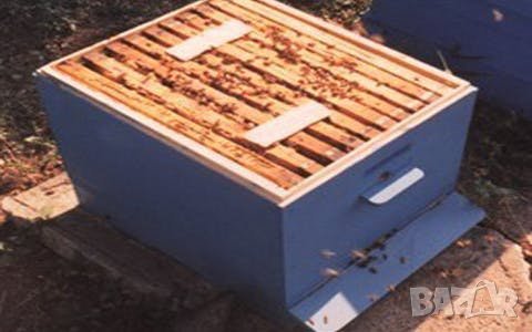 Екостоп - плочки с тимол и ментово масло, снимка 8 - За пчели - 27451610