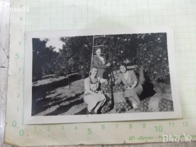 Снимка стара на три българки в овощната градина в Америка