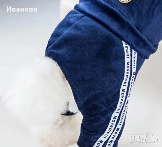 Дреха за куче, снимка 2 - За кучета - 52056070