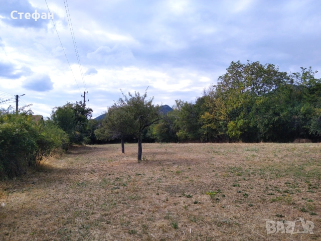 Парцел с.Мирково, снимка 5 - Парцели - 52421513