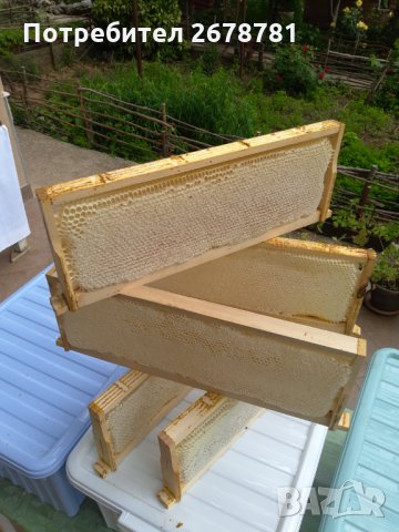  Билков мед на пита, снимка 4 - Пчелни продукти - 33238513