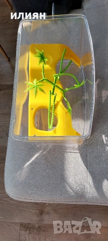 Аквариуми Hailea 2л,нагревател 8w, снимка 9 - Аквариуми - 52975808