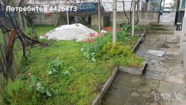 Продава къща с двор 1146кв.м. в с. Скравена, снимка 4 - Къщи - 49648696