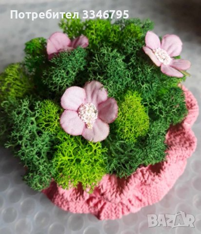 Кашпа със скандинавски мъх. , снимка 8 - Други - 44117016