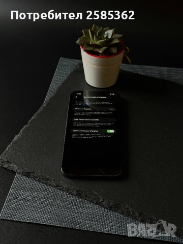 iPhone 12 Pro Max 256 GB Graphite / 100% Батерия / Перфектен технически, снимка 4 - Apple iPhone - 53584010