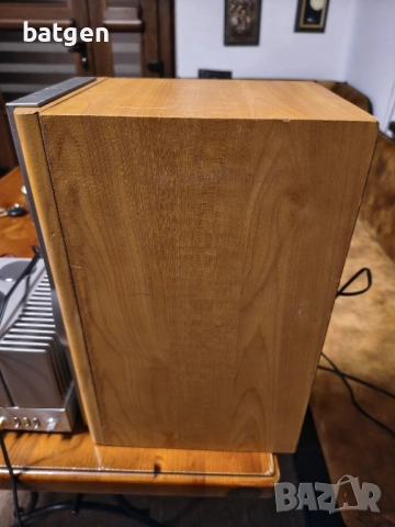 Sony ss-nx1, снимка 4 - Тонколони - 51955620