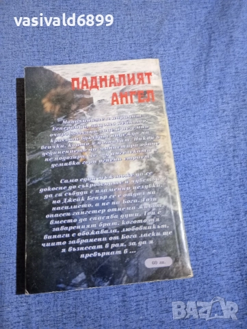 Катрин Харт - Падналият ангел , снимка 3 - Художествена литература - 52945275