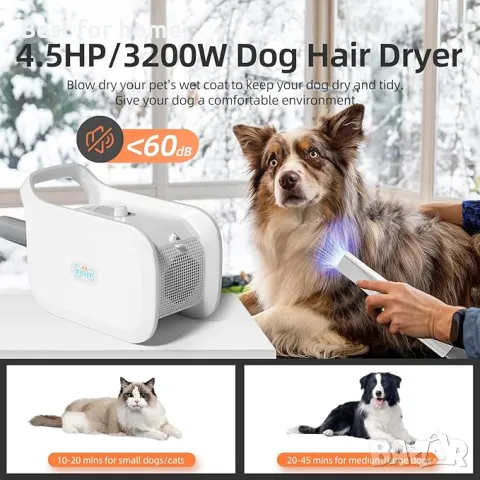 Тих сешоар за домашни любимци с регулируема скорост XKISS, снимка 7 - За кучета - 50217729