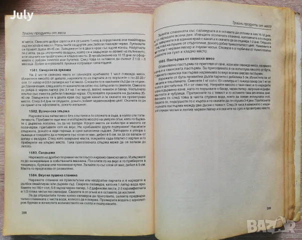 1585 от най-добрите и изпитани рецепти, Пенка Чолчева, снимка 3 - Специализирана литература - 48908864