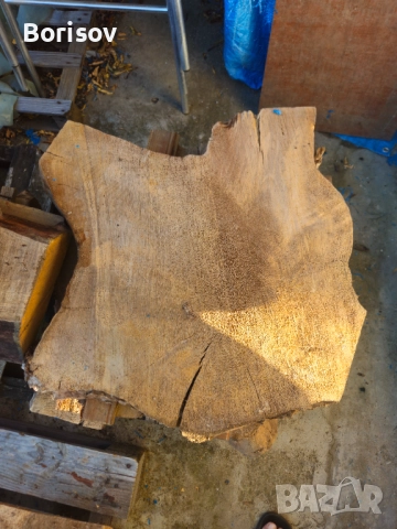 Продавам янове от орех, снимка 7 - Дърводелски услуги - 51842674