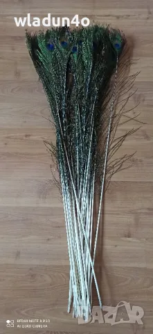 	Паунови пера-2,50лв, снимка 3 - Декорация за дома - 50191512