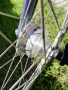 Алуминиев велосипед Winora Jamaica 28" 24 скорости, снимка 5