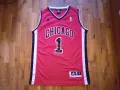 Derrick Rose Chicago Bulls NBA баскетболна тениска размер М, снимка 1
