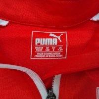 VfB Stuttgart / Puma - детско футболно горнище ФФБ Щутгарт, снимка 7 - Детски анцузи и суичери - 43561038