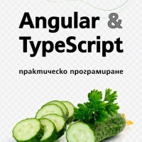 Angular & TypeScript. Практическо програмиране, снимка 1 - Специализирана литература - 32772890