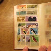 Колекция от 150 стари пощенски марки - кафява корица - птици, кучета, цветя, красиви местности, снимка 7 - Филателия - 40792317