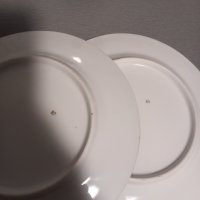 Две прекрасни, ръчно декорирани,  старинни чинии , снимка 4 - Чинии - 43690411