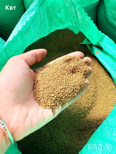 Продавам семе люцерна, снимка 1